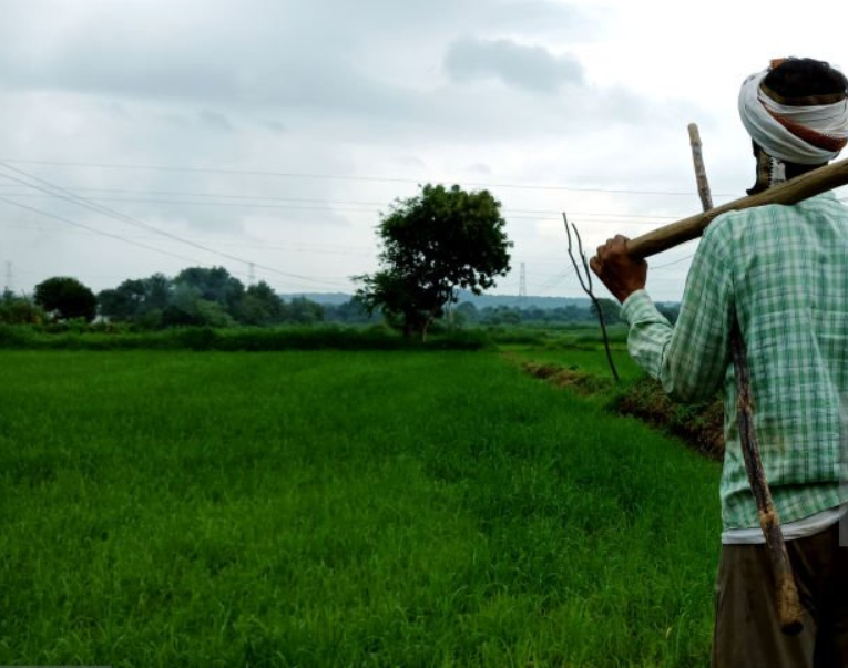 Hire Farming Partners/Services